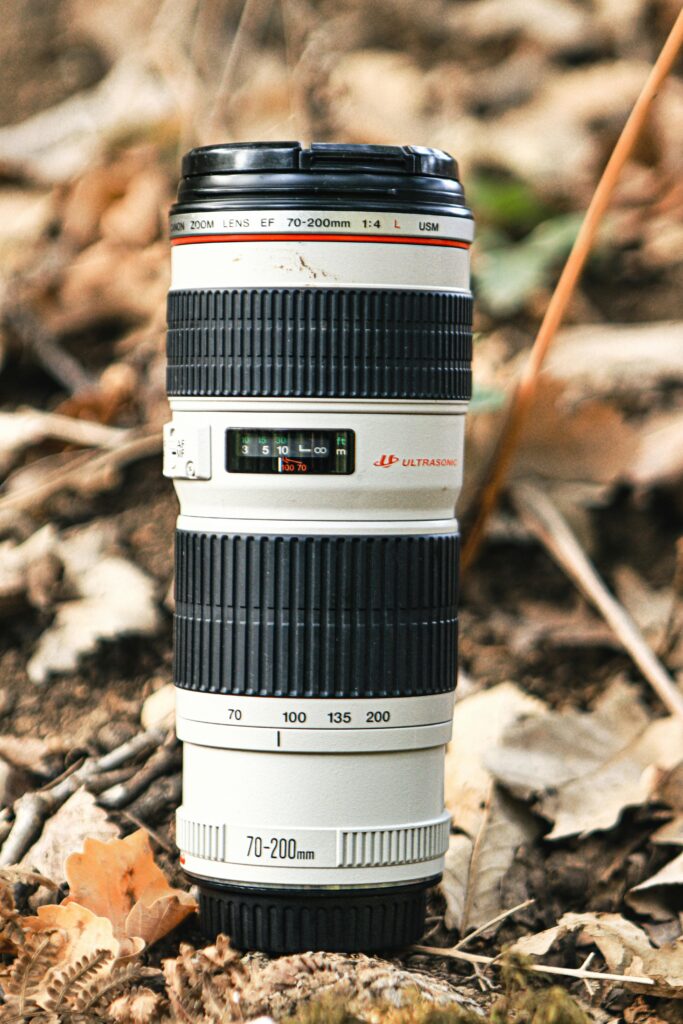 EF70-200mm F2.8L IS III USMで見つける新しい景色 - 魅惑の中望遠