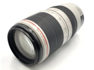 EF100-400mm F4.5-5.6L IS II USM で遠くをしっかり写す多用途ズームレンズの魅力