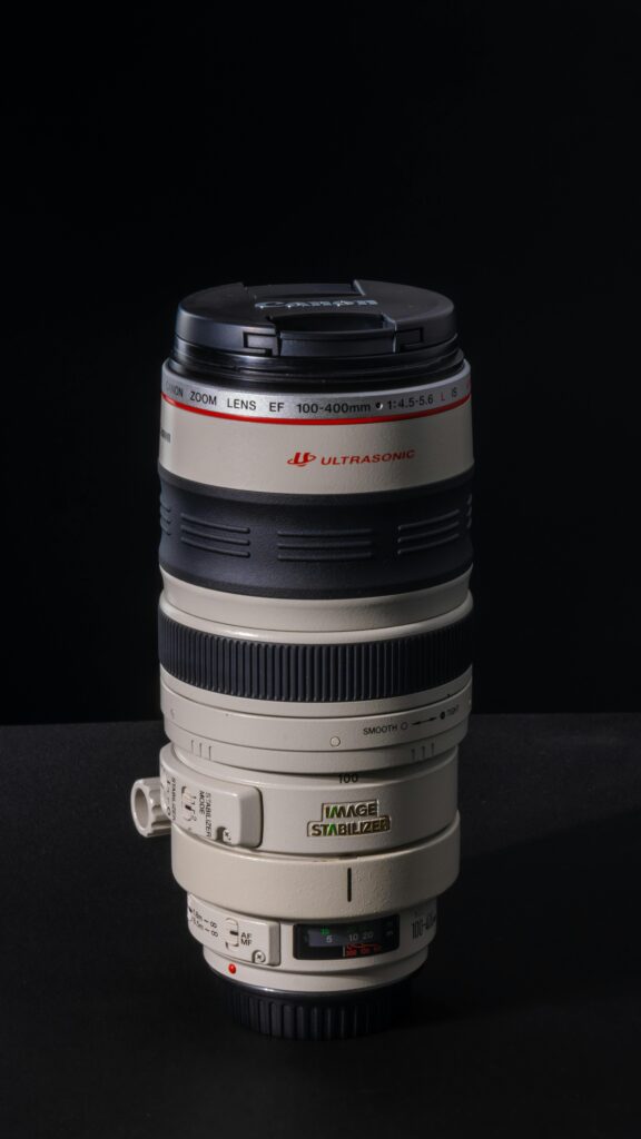 描く細部と迫力:EF 100-400mm F4.5-5.6Lの魔力 - 魅惑の中望遠