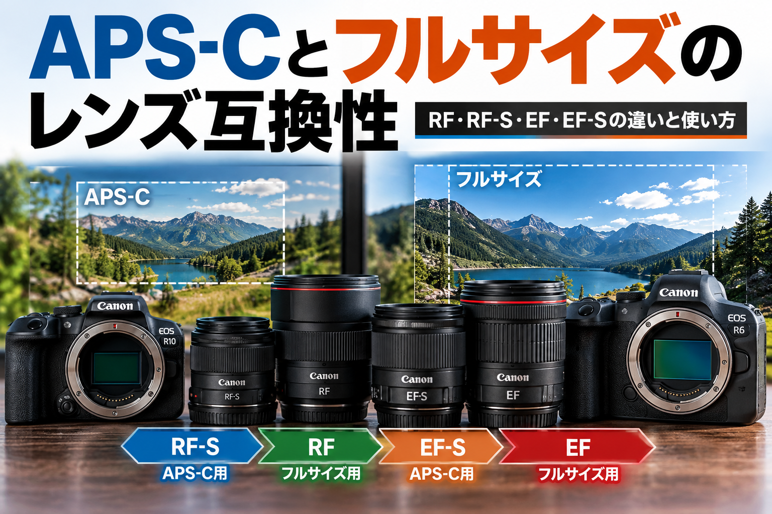 APS-Cとフルサイズのレンズ互換性｜RF・RF-S・EF・EF-Sの違いと使い方