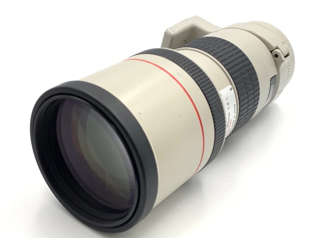 300mm単焦点使い道知れば神秘的な描写がえられる? 魅惑の中望遠