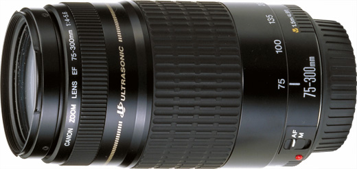 EF75-300mm F4-5.6 USM 魔法の望遠ズームの可能性 - 魅惑の中望遠