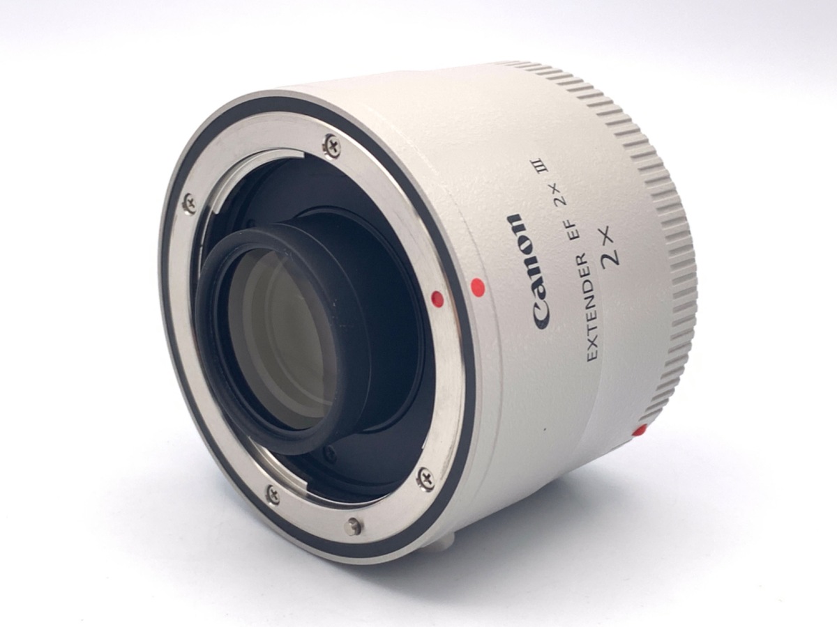 EXTENDER EF2×III 焦点距離を2倍にして遠くの被写体をクリアに撮る方法  