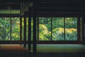 標準ズームレンズの魅力と活用方法