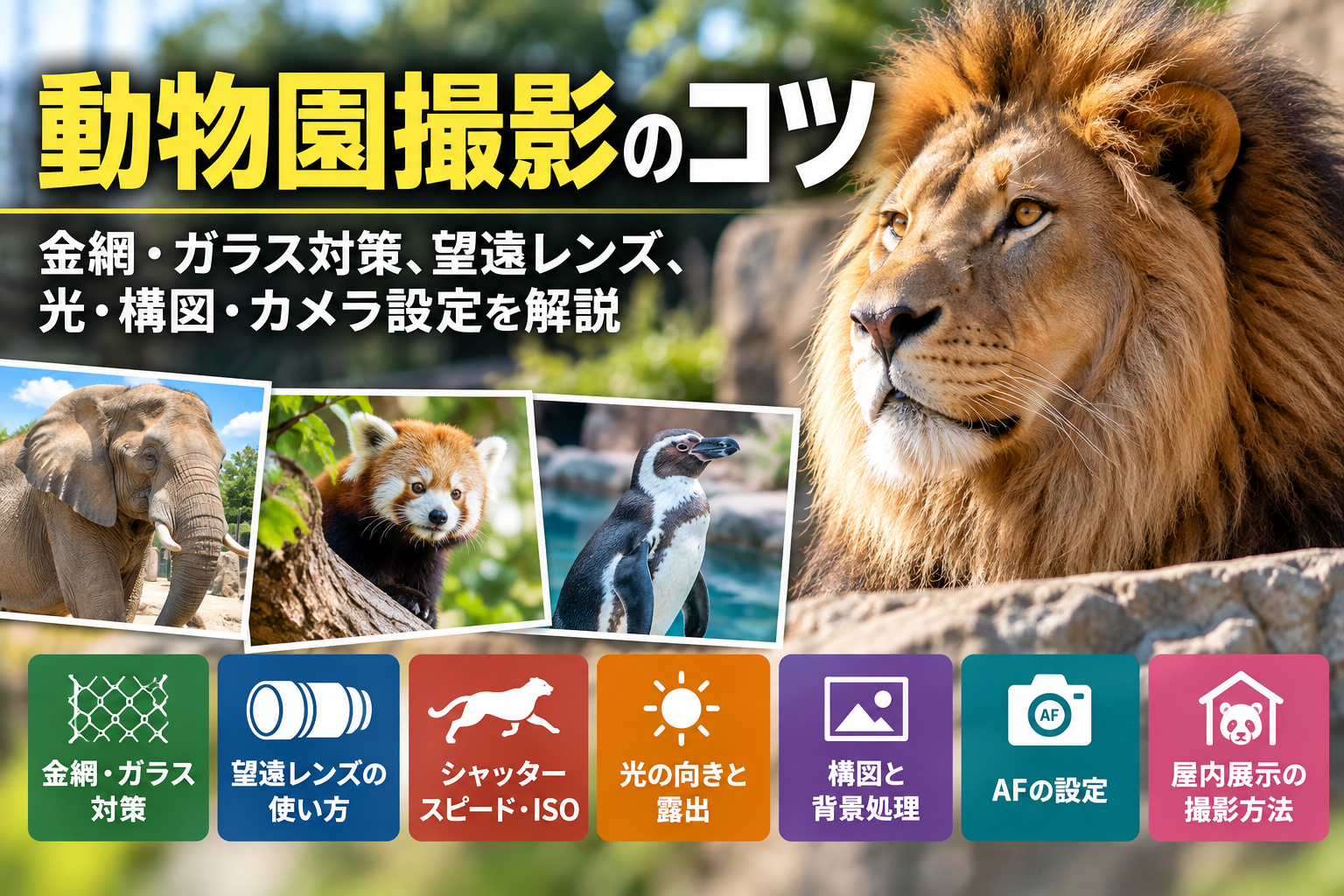 動物園撮影のコツ｜金網・ガラス対策、望遠レンズ、光・構図・カメラ設定を解説