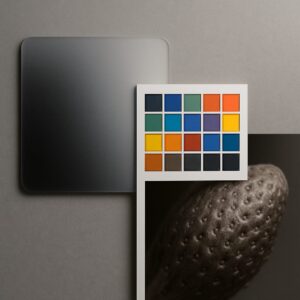 写真撮影における画質の本質とは