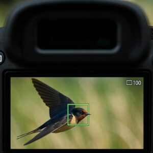 動物検出AFで動物写真が変わる ピント精度と追尾性能の実力とは