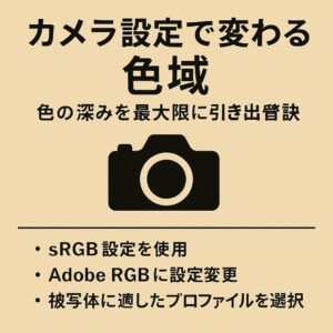 色域