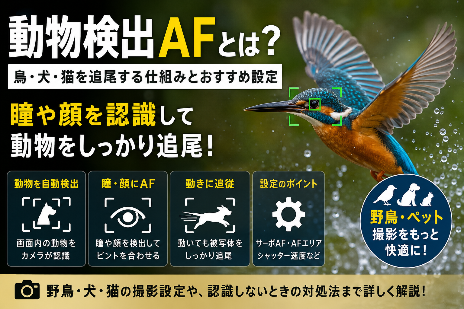 動物検出AFとは？鳥・犬・猫を追尾する仕組みとおすすめ設定