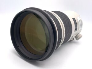 EF望遠単焦点レンズで魅せる遠景表現 被写体を引き寄せる300mmの描写力