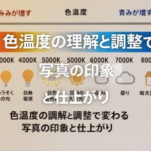 色温度の理解と調整で変わる写真の印象と仕上がり