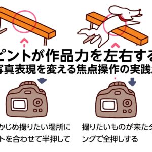ピントが作品力を左右する　写真表現を変える焦点操作の実践知識