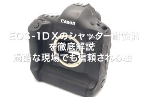 EOS-1D Xのシャッター耐久性能を徹底解説 過酷な現場でも信頼される理由とは