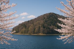 RF70-200mm F4 L IS USMで写す多彩な作例の世界