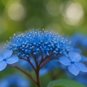 感動を与える描写力とボケ表現の秘密