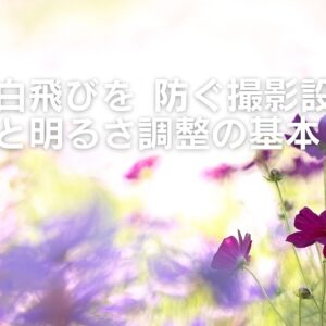 白飛びを防ぐ撮影設定と明るさ調整の基本