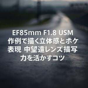 EF85mm F1.8 USM 作例で描く立体感とボケ表現 中望遠レンズの描写力を活かすコツ