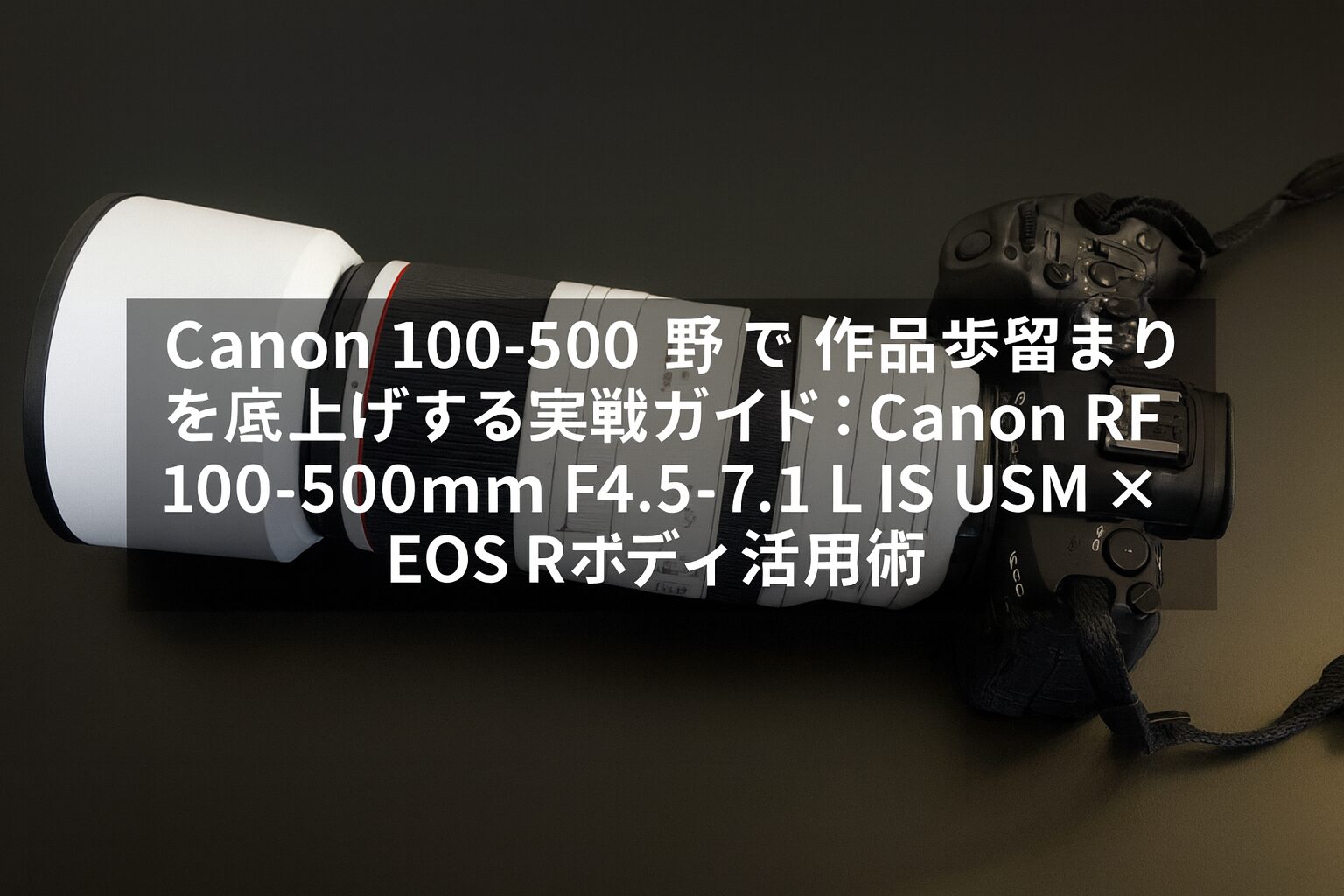 Canon 100-500 野鳥で作品歩留まりを底上げする実戦ガイド：Canon RF100-500mm F4.5-7.1 L IS USM × EOS Rボディ活用術