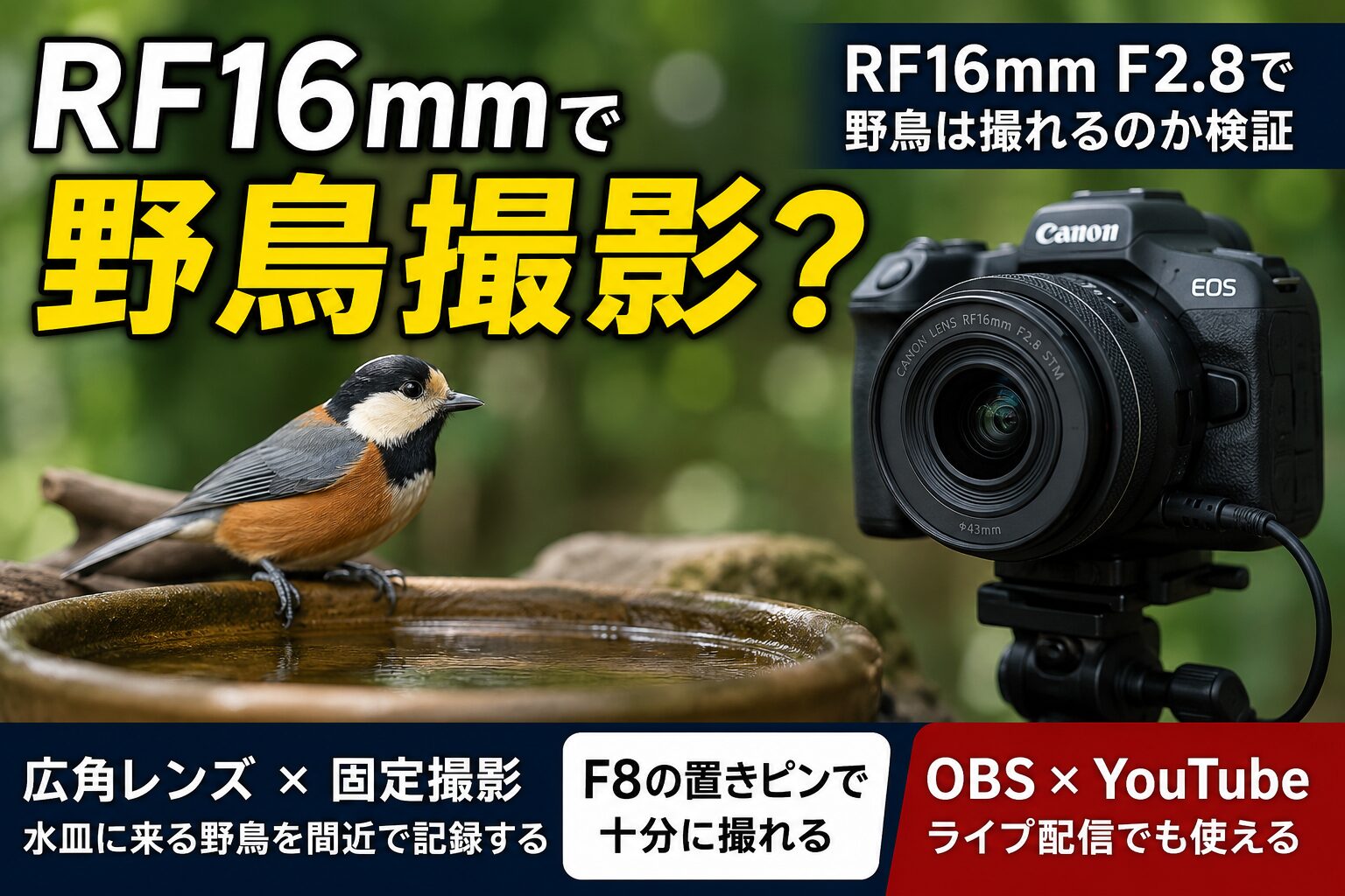 RF16mm F2.8 STMで野鳥撮影はできるのか？