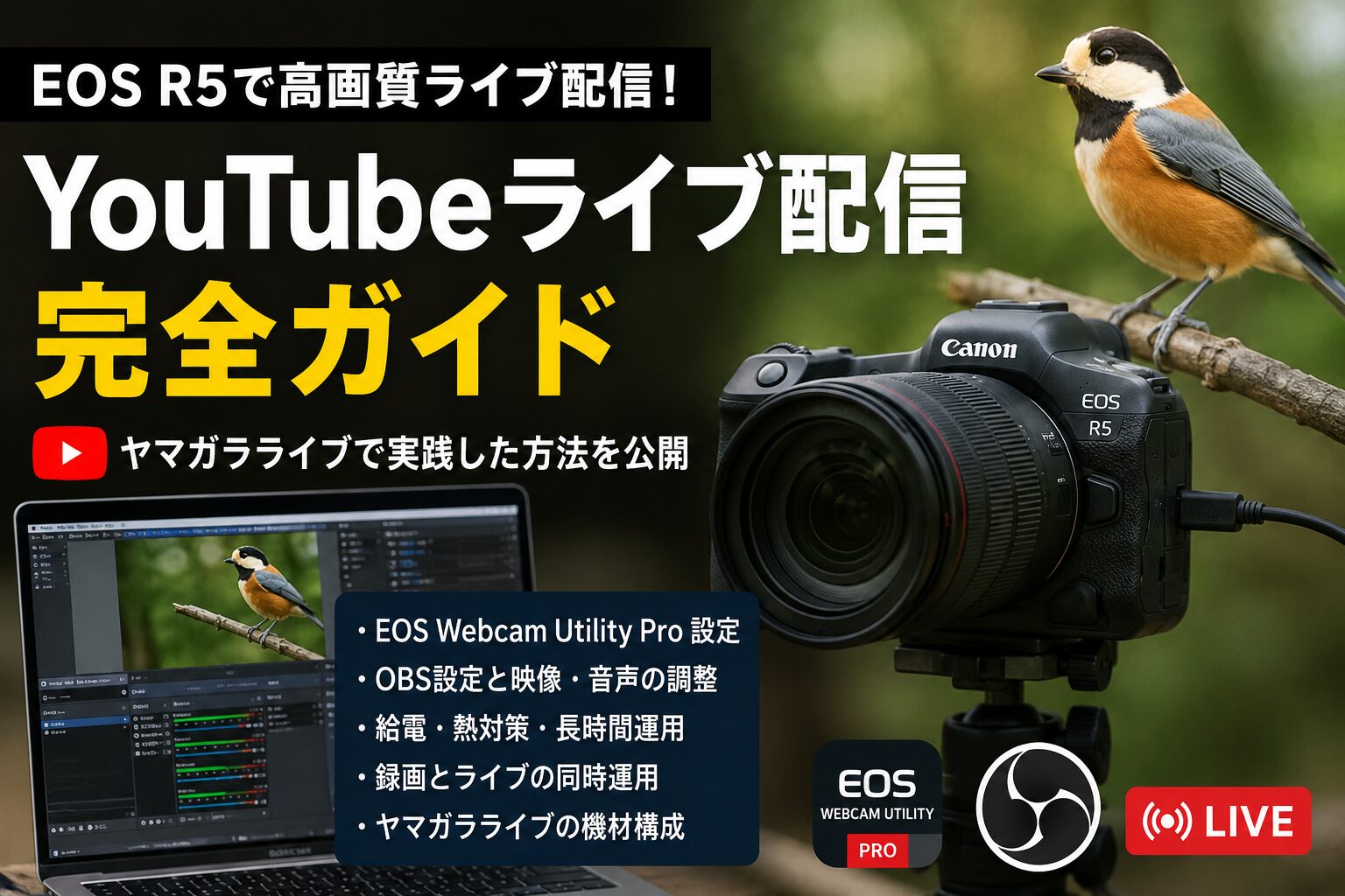 EOS R5でYouTubeライブ配信する方法｜ヤマガラライブの機材・OBS設定・運用