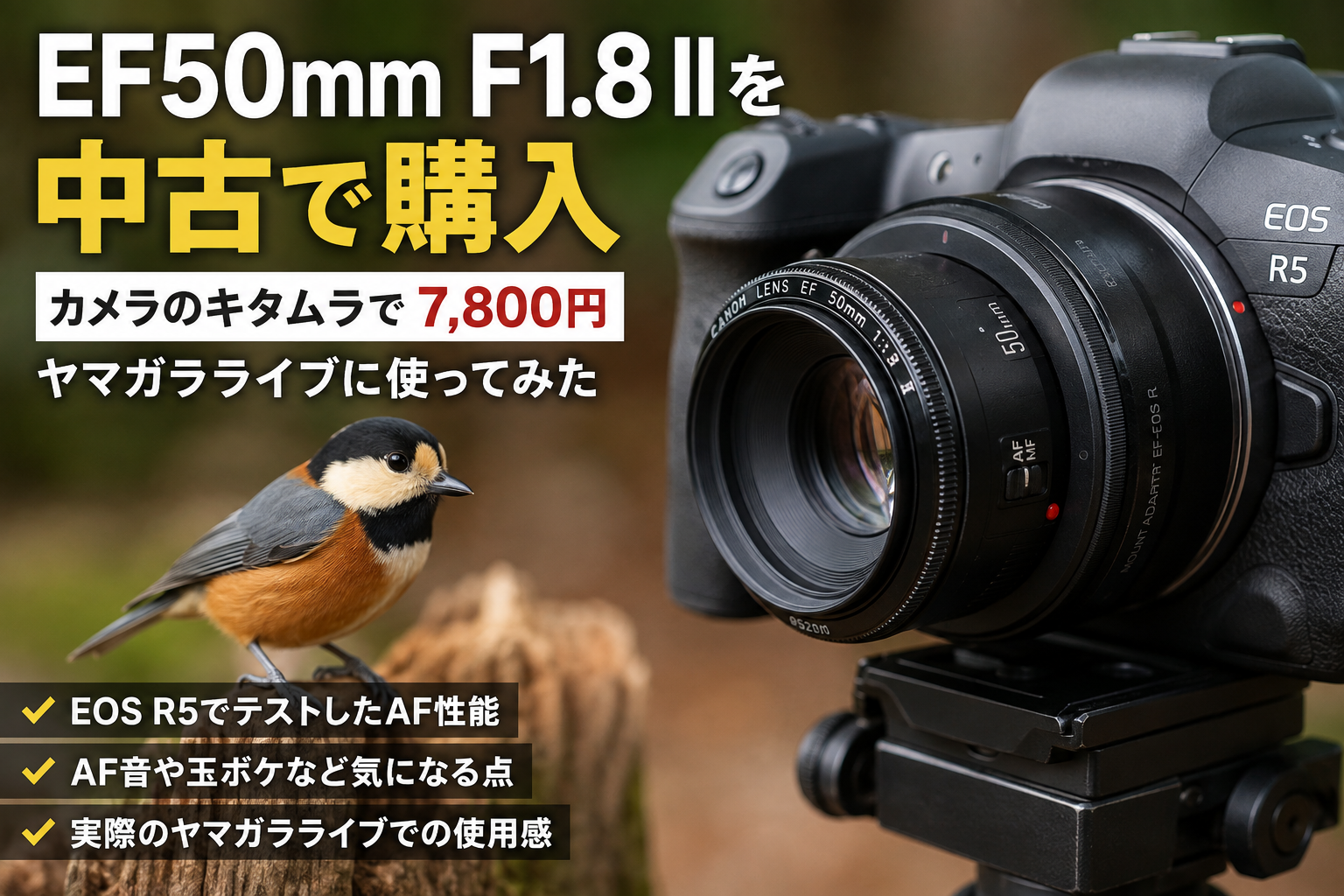 EF50mm F1.8 IIを中古で購入｜7,800円でヤマガラライブに使ってみた