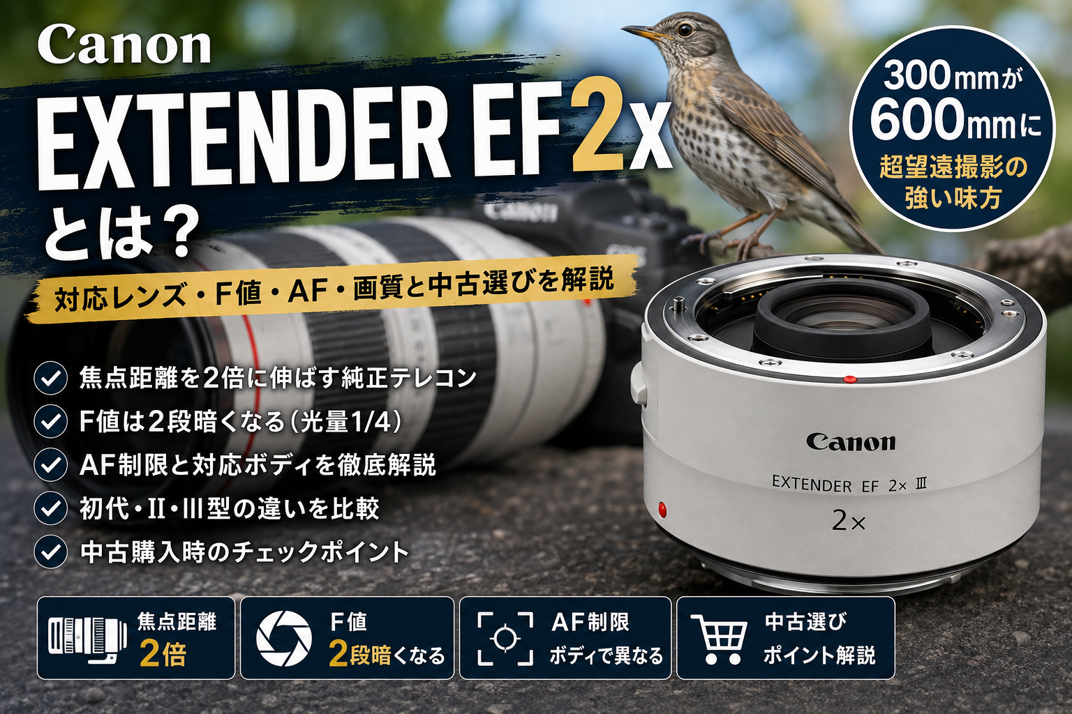 Canon EXTENDER EF2xとは？対応レンズ・F値・AF・画質と中古選びを解説