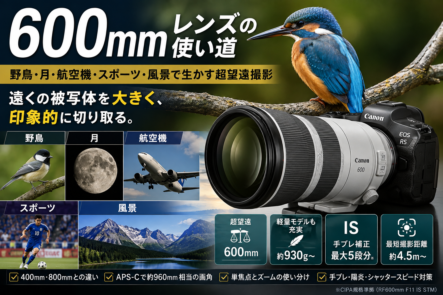 600mmレンズの使い道 野鳥・月・航空機・風景で生かす超望遠撮影