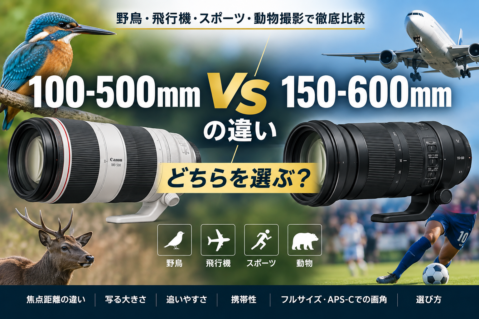 100-500mmと150-600mmの違い｜野鳥・飛行機ならどちらを選ぶ？