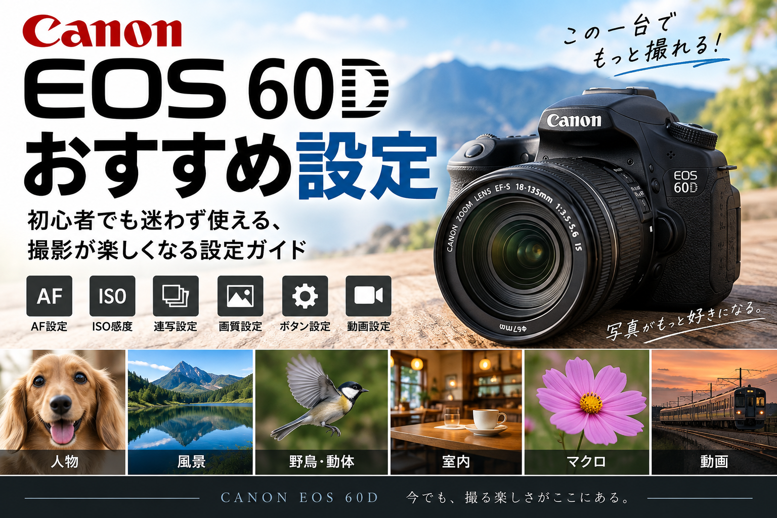 EOS 60Dおすすめ設定｜AF・ISO・連写・画質・ボタン設定を用途別に解説