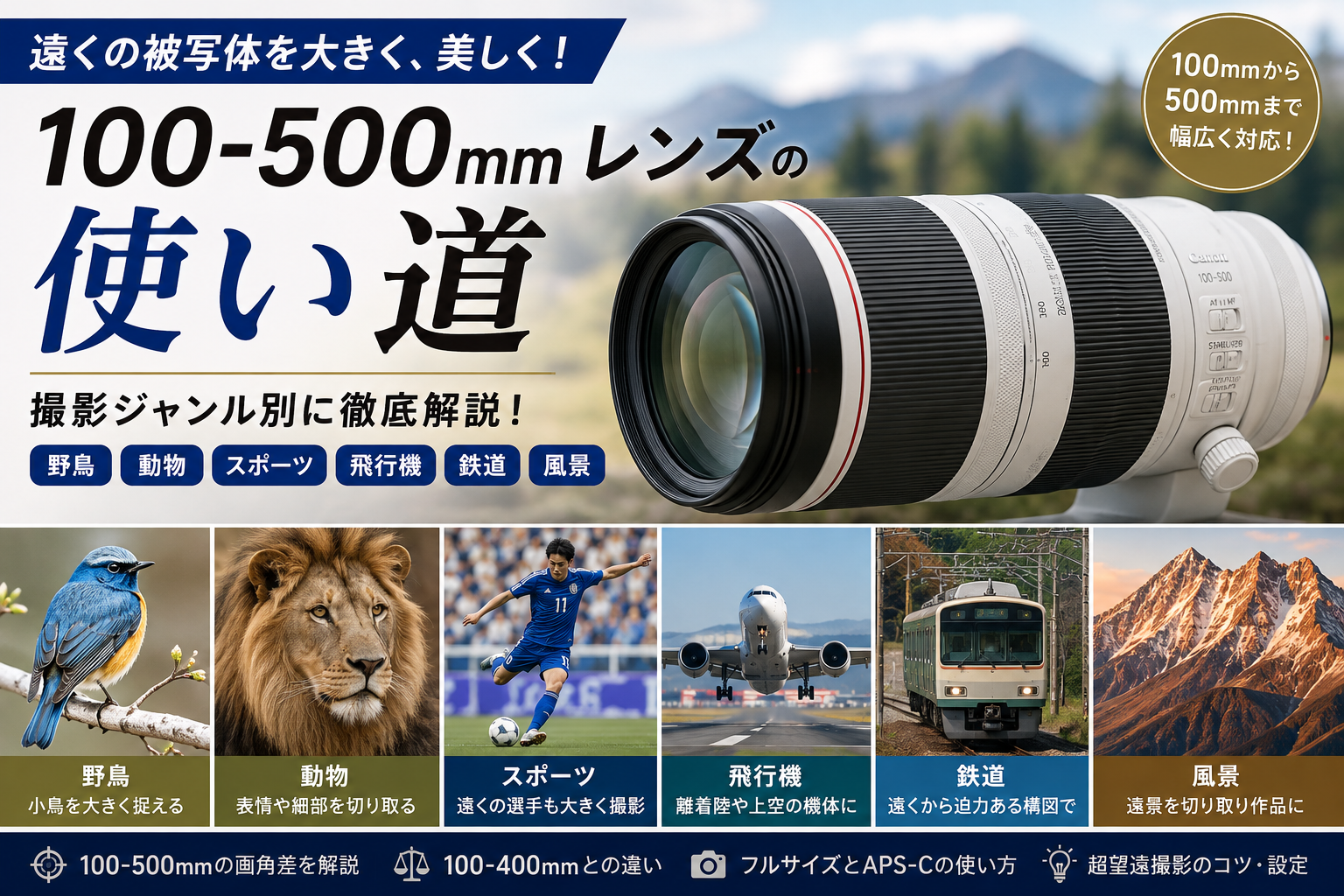 100-500mmレンズの使い道｜野鳥・動物・スポーツ・飛行機・風景を撮る超望遠ズーム活用法