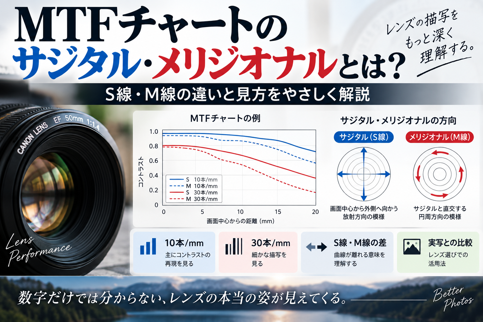 MTFチャートのサジタル・メリジオナルとは？S線・M線の違いと見方