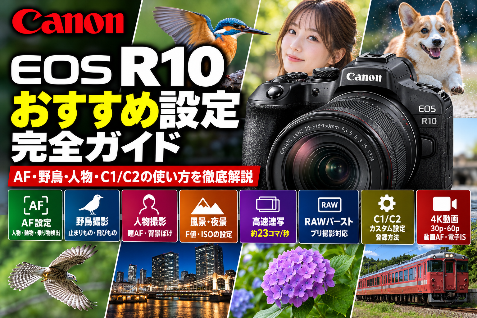 EOS R10のおすすめ設定完全ガイド｜AF・野鳥・人物・C1/C2の使い方