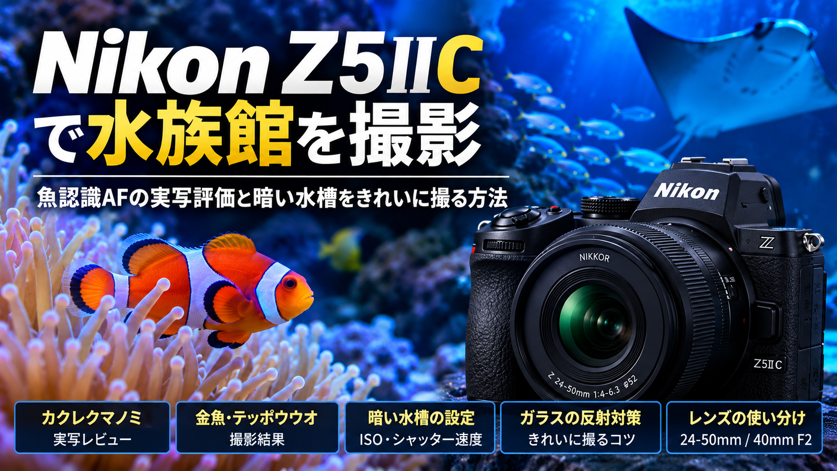 Nikon Z5IICで水族館を撮影｜魚認識AFの実写評価と暗い水槽をきれいに撮る方法