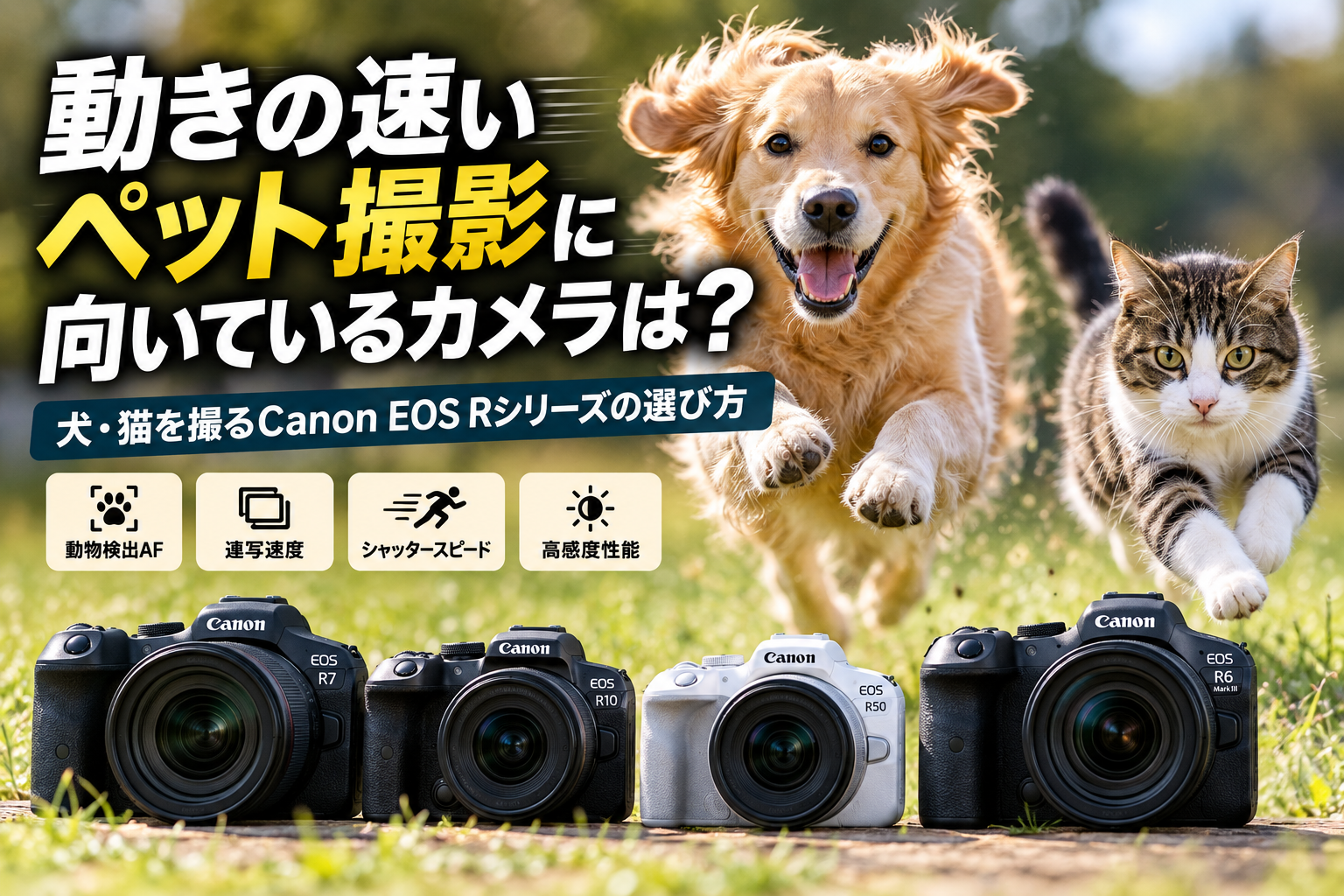 動きの速いペット撮影に向いているカメラは？犬・猫を撮るCanon EOS Rシリーズの選び方